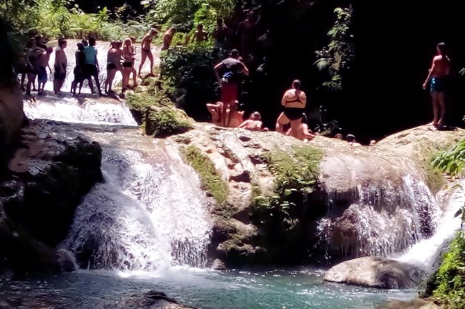 Island Gully Falls And Columbus Park Day Adventure - Tour Overview