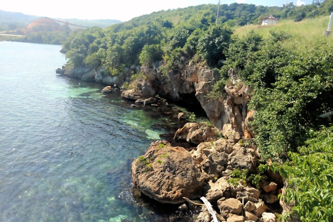 Island Gully Falls And Columbus Park Day Adventure - Booking Your Stay
