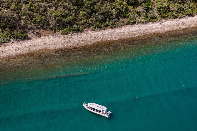 Island Hopper - Participant Information