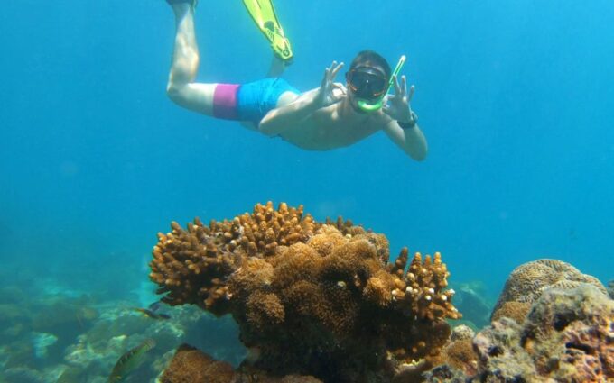 Island Hopping and Snorkeling Plankton Tour by Speedboat - Frequently Asked Questions