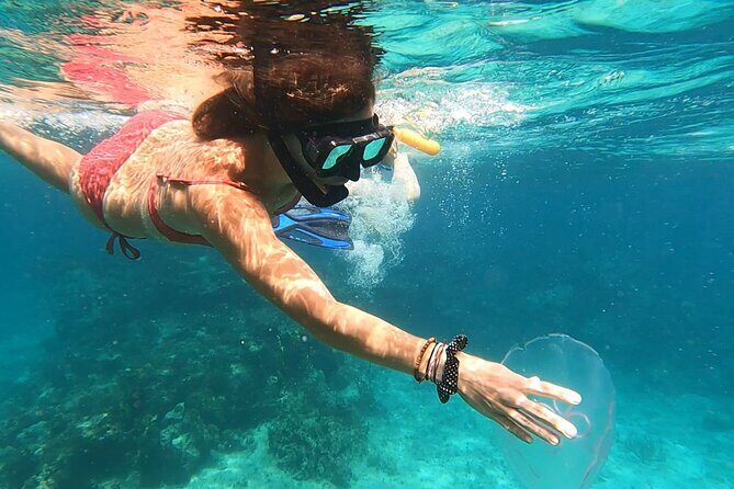 Island Hopping and Snorkeling Sailing and Boat Tours Fajardo - The Value and Practical Aspects