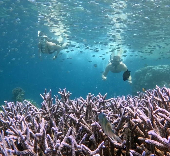 Island Hopping Gili Asahan, Gede, Rengit, Layar & Goleng - Gili Gede Highlights