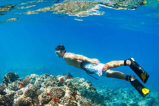 Island Hopping Tour (2 Island) From Kota Kinabalu - Tour Pricing and Capacity