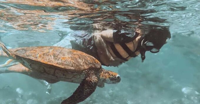 Island Hopping: Underwater, Dolphins, Snorkel, Virgin Island - Frequently Asked Questions