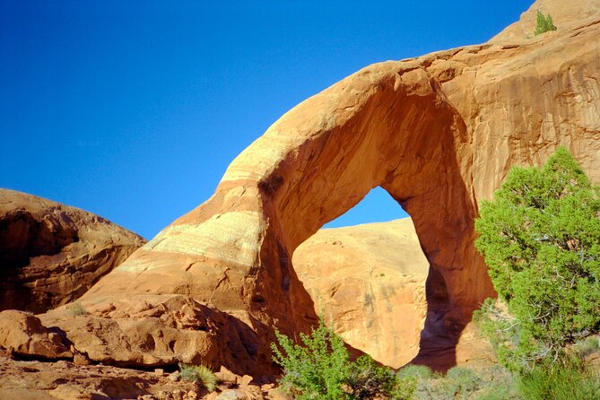Island in the Sky of Canyonlands Helicopter Tour - Booking and Accessibility