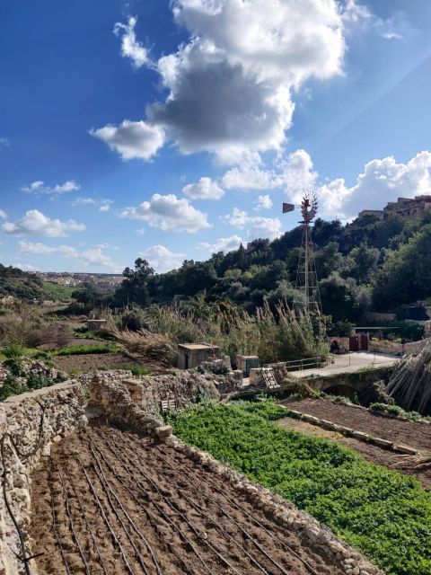 Island of Gozo: Private Tour - Customer Reviews