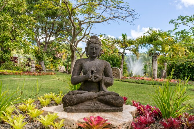 Island of Nevis Tour - Tour Highlights