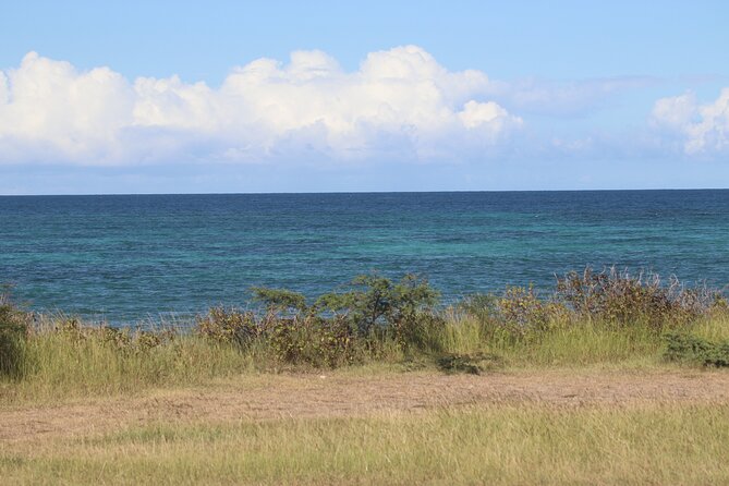 Island of Nevis Tour - Booking Information