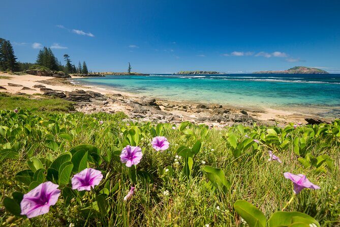 Island Orientation Package incl. Return Airport Transfers & Tour - FAQs