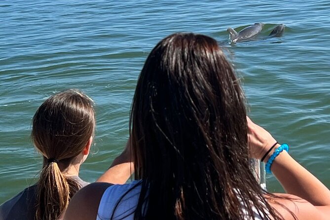 Island Paradise: Dolphin, Shelling, Birding Eco Boat Tour - Meeting Point and Parking