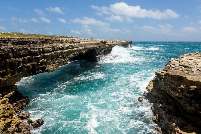 Island Safari 4x4 Discovery Tour from St John's - The Sum Up: Who’s This Tour Best For?