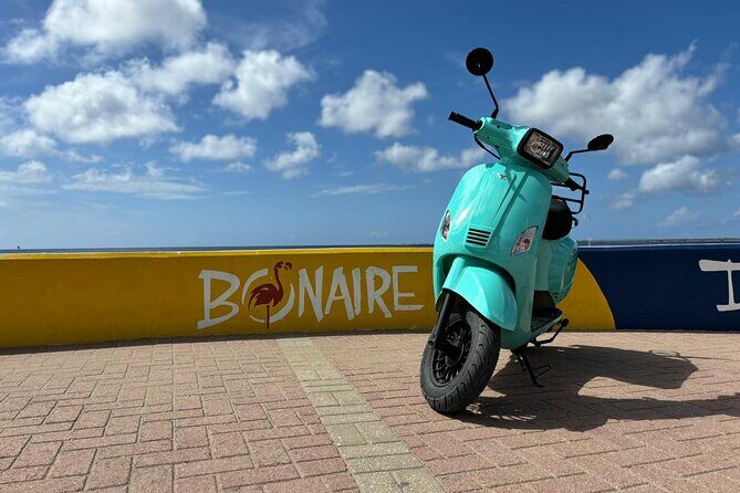 Island Scooter Tour Bonaire - A Detailed Look at the Bonaire Scooter Tour