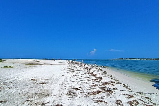 Island Time Adventure Private 6-Hour Clearwater Cruise - Authentic Experiences & Guest Feedback
