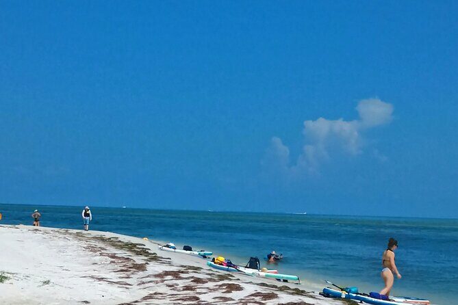 Island Time Adventure Private 6-Hour Clearwater Cruise - Who Will Love This Experience?