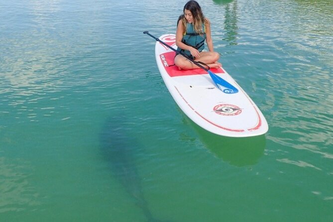 Island Tour by Pedal HOBIE / Kayak / SUP - Fort Myers Beach - Booking Details