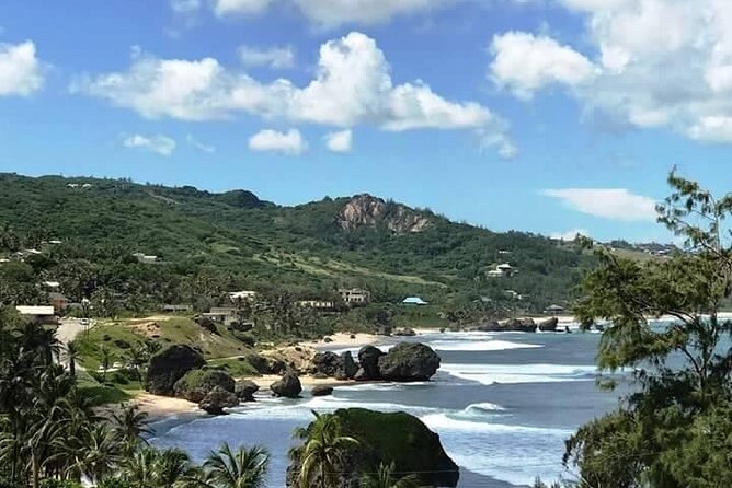 Island Tour - Tour Operator and Policies