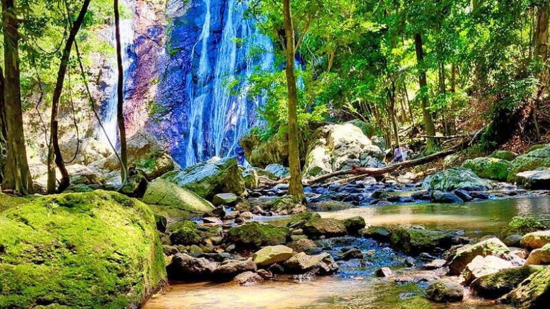 ISLAND TOUR ECO AROUND KOH SAMUI HALF DAY RARE SIGHTSEEING - Wat Plai Laem
