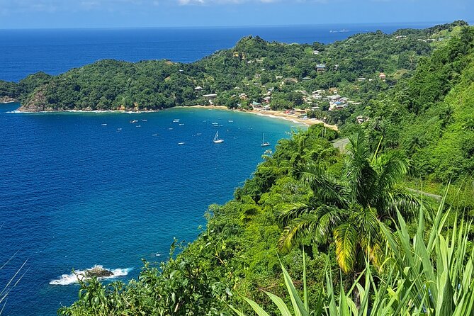 Island Tour (Food and Drinks Include) - Inclusions