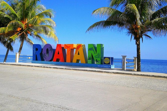 Island Tour/Monkeys and Sloth Park/Chocolate & Rum Factory/Beach - Guided Experiences