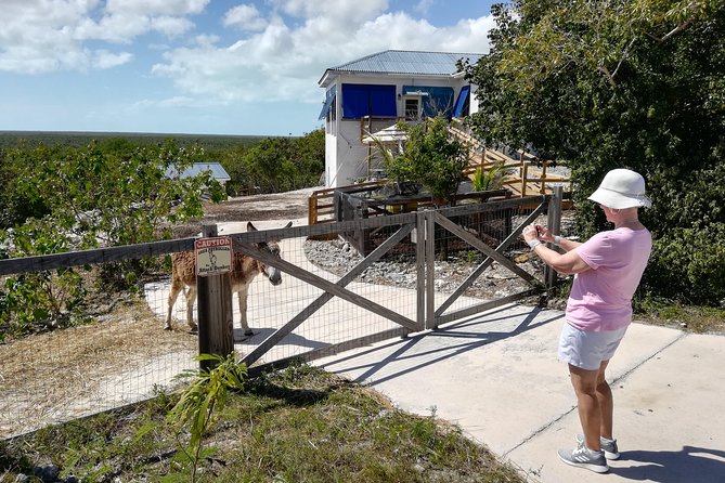 Island Tour of North and Middle Caicos W / Lunch & Drinks Included - What to Expect