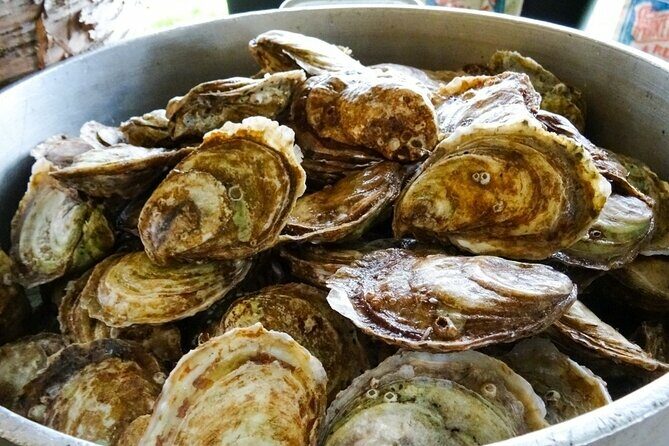 Island Tour with Oyster Tasting & Merroir Experience P.E.I. - Authentic Experiences & What Sets It Apart