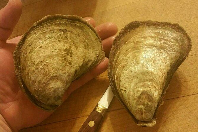 Island Tour with Oyster Tasting & Merroir Experience P.E.I. - The Sum Up