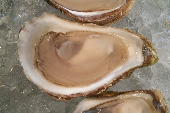 Island Tour with Oyster Tasting & Merroir Experience P.E.I. - Frequently Asked Questions