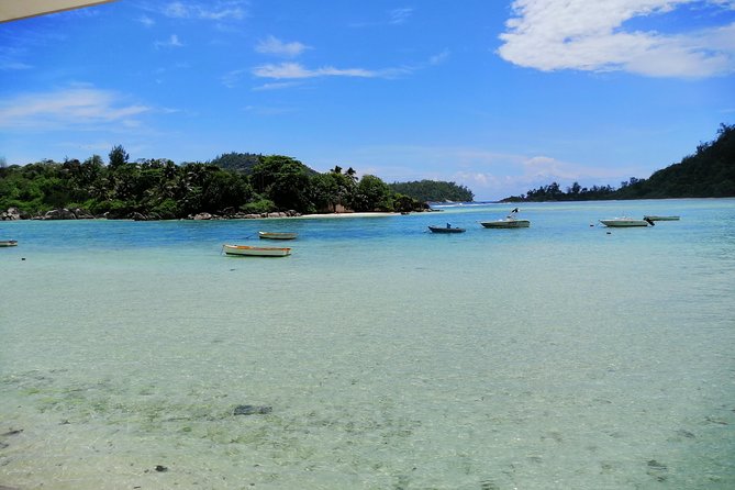 Island Tour With the Beach Buggy - Scenic Viewpoints