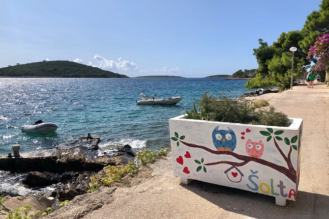 Island Tours - Customer Feedback and Reviews