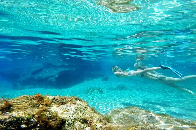 Island Vis Discovery Day Tour From Hvar - Meeting and Logistics
