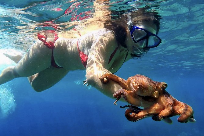 Island Vis Discovery Day Tour From Hvar - Snorkeling in Green Cave