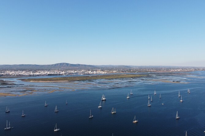 Islands Tour: Half Day Cruise in Ria Formosa National Park - Accessibility and Participation