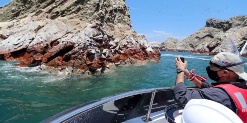 Islas Ballestas Boat Tour - The Galapagos of Peru - Wildlife Highlights