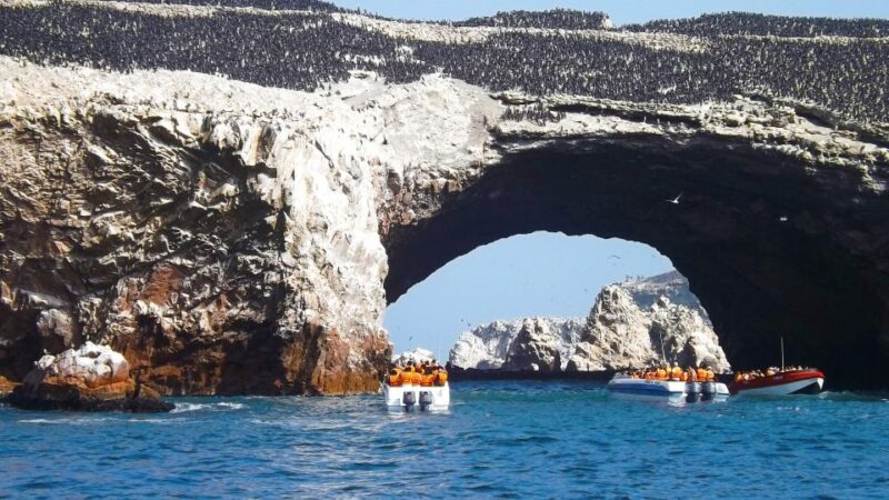 Islas Ballestas Boat Tour - The Galapagos of Peru - Tour Duration and Cost