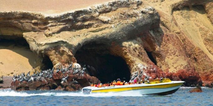 Islas Ballestas Boat Tour - The Galapagos of Peru - Tour Features and Inclusions