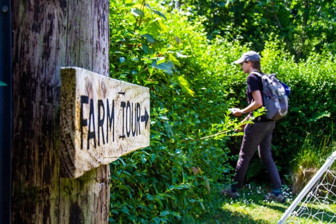 Isle of Arran: Exclusive Private Farm Tour With the Farmer - Seasonal Farm Highlights