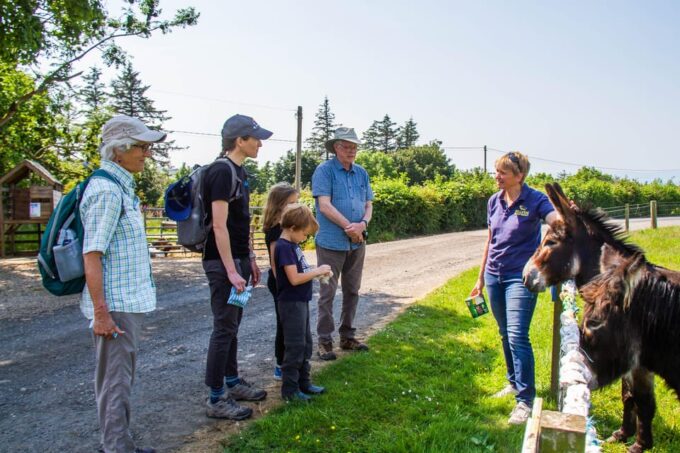 Isle of Arran: Self Guided Farm Experience - Getting to the Isle of Arran