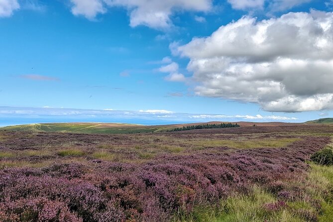 Isle of Man Wildlife & Scenic Adventure With Wildlife Enthusiast - Tour Overview