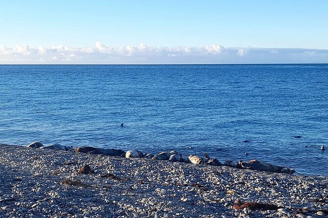 Isle of Man Wildlife & Scenic Adventure With Wildlife Enthusiast - Meeting and Pickup