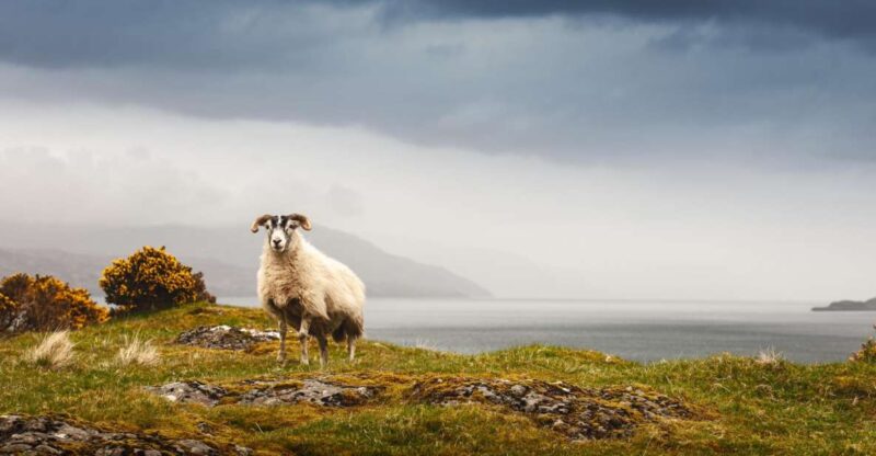 Isle of Mull and Iona 3-Day Small-Group Tour From Glasgow - Important Considerations