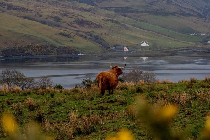 Isle of Skye and the Fairy Pools Tour - Whats Included