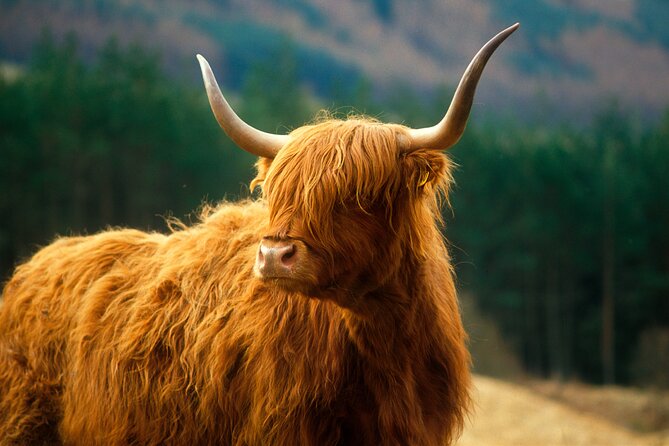 Isle of Skye Full Day Private Tour From Inverness - Tour Duration and Meeting Point