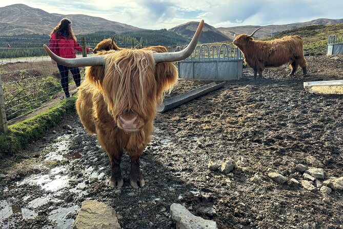 Isle of Skye Highlights - Bespoke Private Tour for up to 7 Guests - Meeting and Pickup