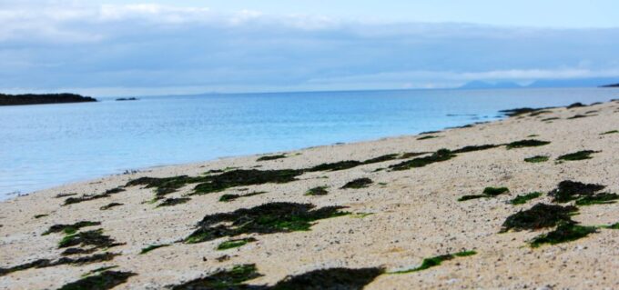 Isle of Skye: Portree to Fairy Pools Smartphone Guide - Customer Feedback