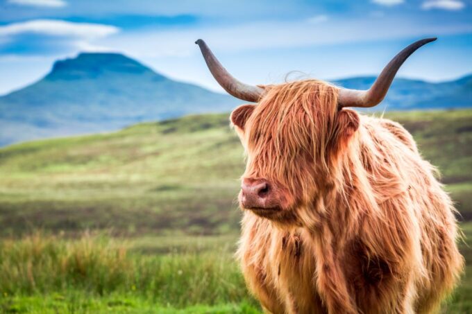 Isle of Skye & the Highlands: 3-Day Guided Tour From Glasgow - Tour Duration