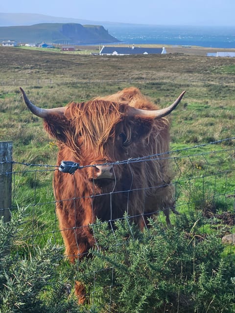 Isle of Skye: Tour the Highlights and Hidden Beauties. - Key Points