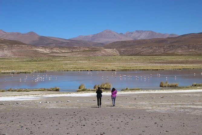 Isluga National Park Tour - Included Experiences