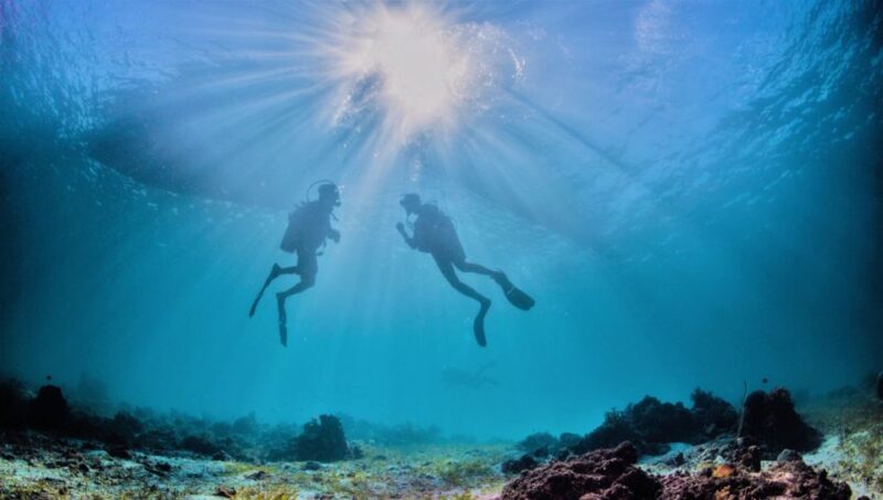 Isola Ruja: Scuba Diving Baptism in Tavolara Marine Area - Itinerary and Experience