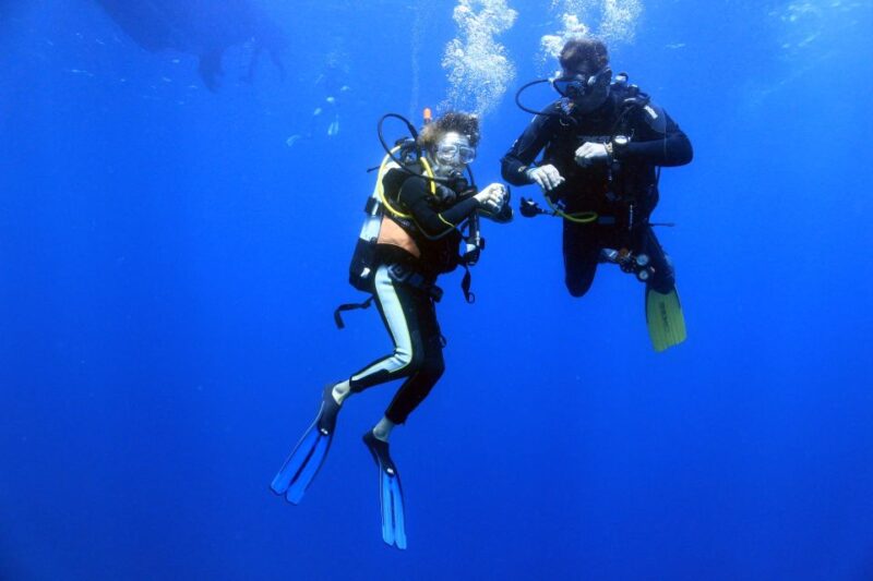 Isola Ruja: Scuba Diving Baptism in Tavolara Marine Area - Customer Feedback