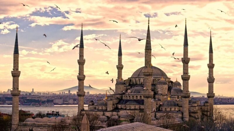 Istanbul: 1, 2 or 3-Day Private City Guided Tour - Tour Features and Services